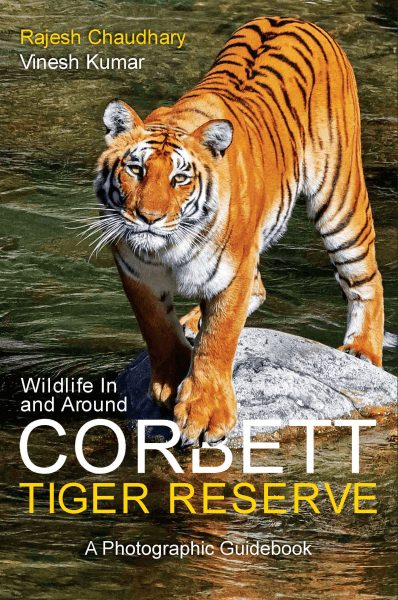 Wildlife In and Around Corbett Tiger Reserve : A Comprehensive Guidebook on Corbett Tiger Reserve Book