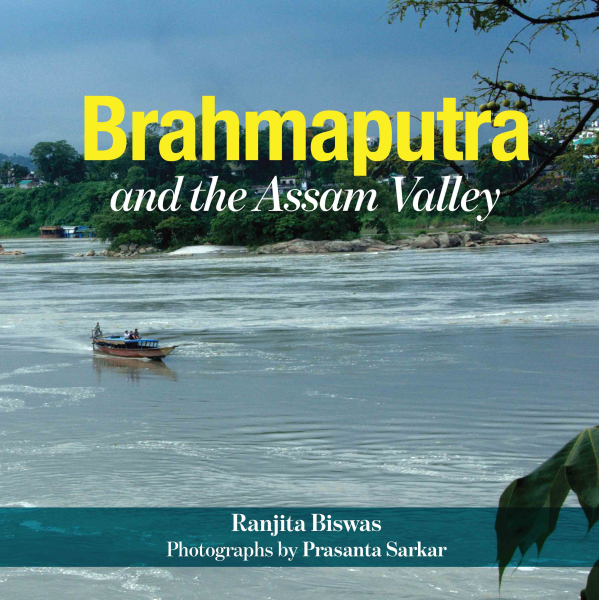 Brahmaputra and the Assam Valley Book