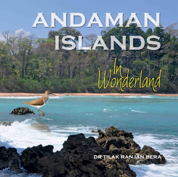 Andaman Islands : In Wonderland Book