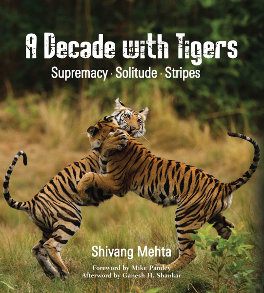A Decade with Tigers : Supremacy. Solitude. Stripes Book