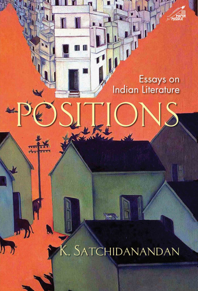 Positions : Essays on Indian Literature Book