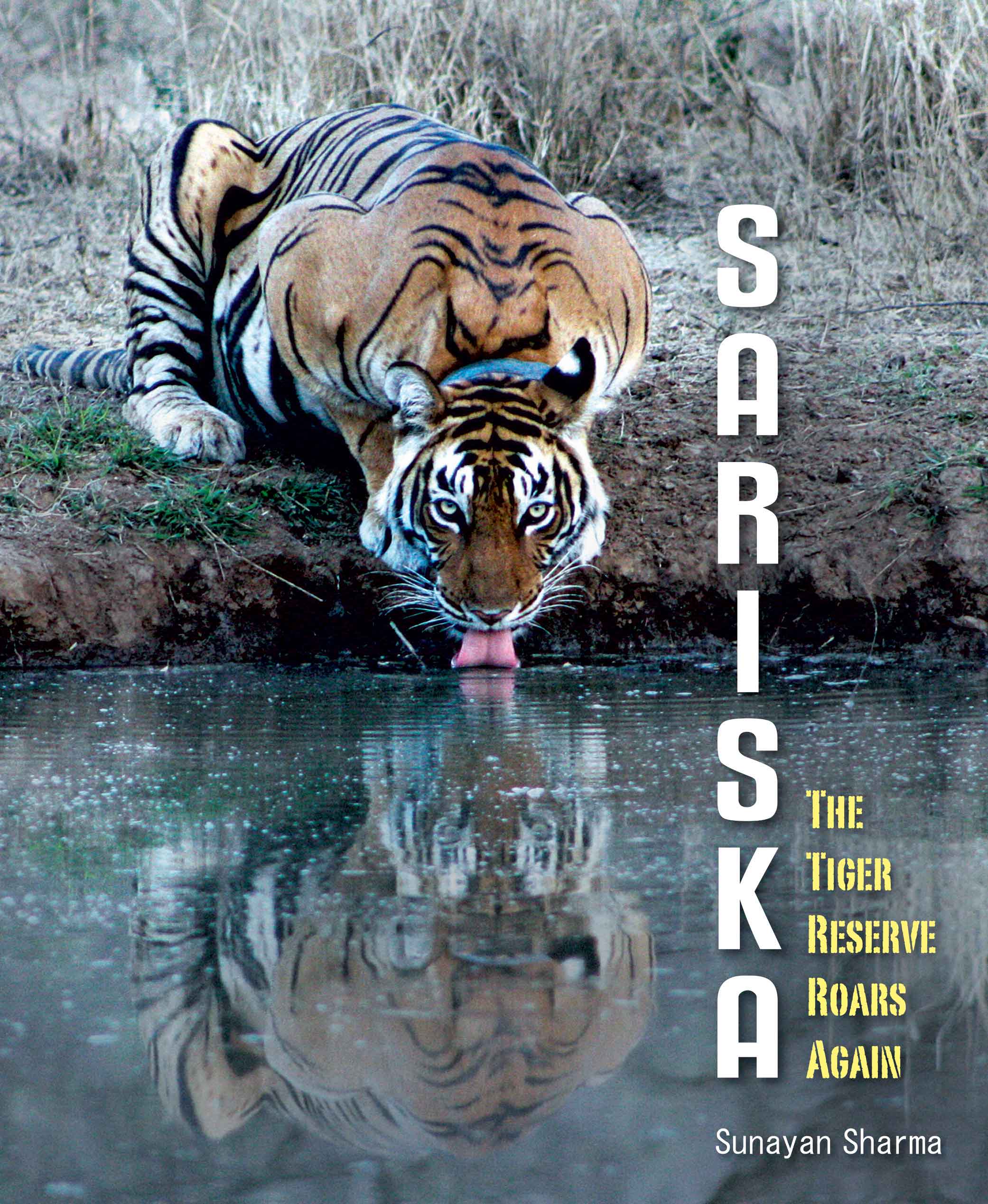 सरिस्का : बाघ संरक्षित क्षेत्र में फिर से गूँजी दहाड़ बुक्स