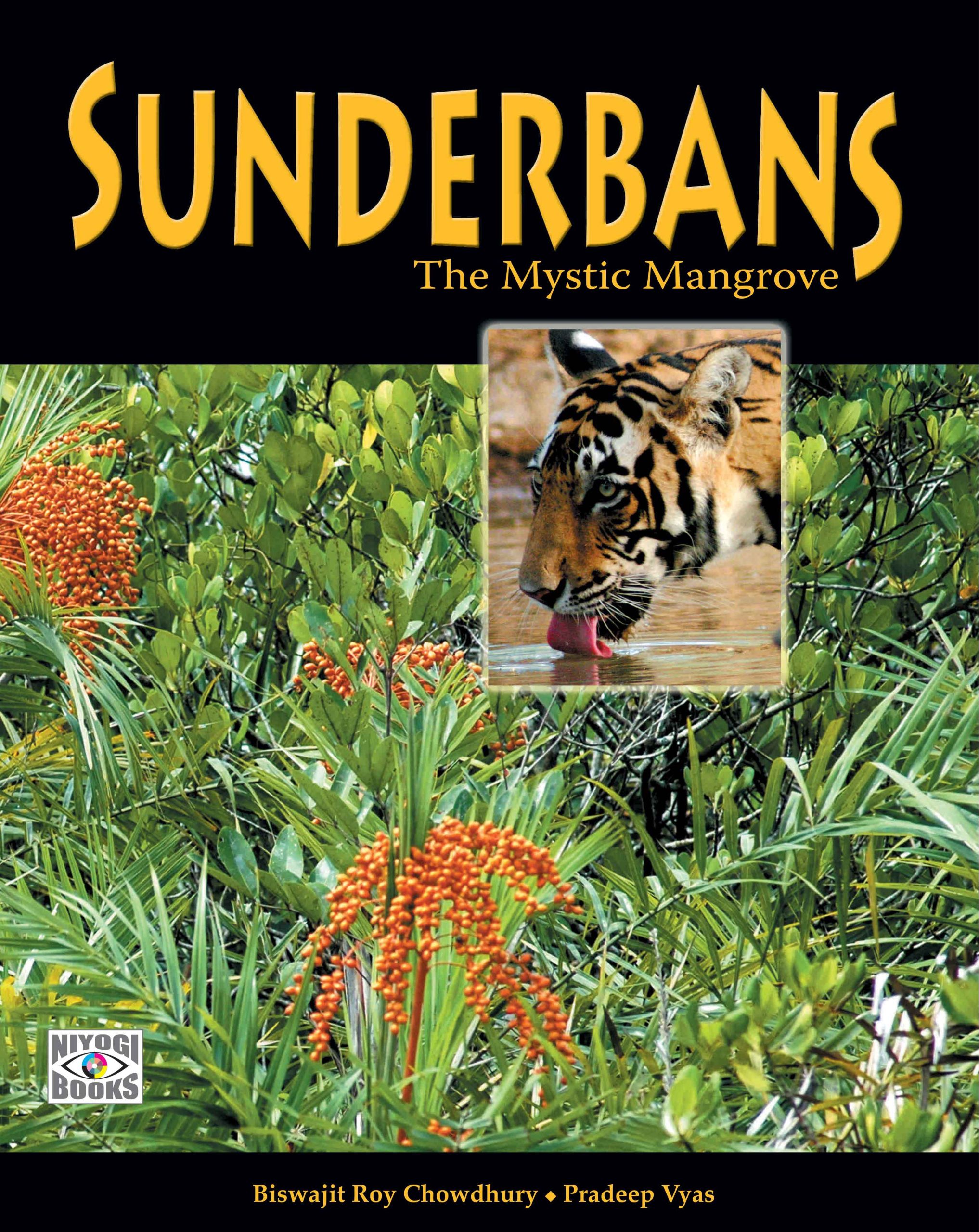Sunderbans The Mystic Mangrove WEB scaled