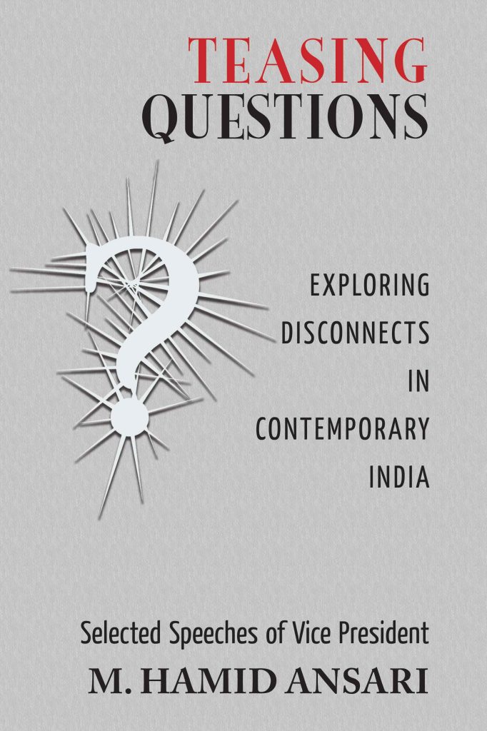 Teasing Questions : Exploring Disconnects in Contemporary India Book