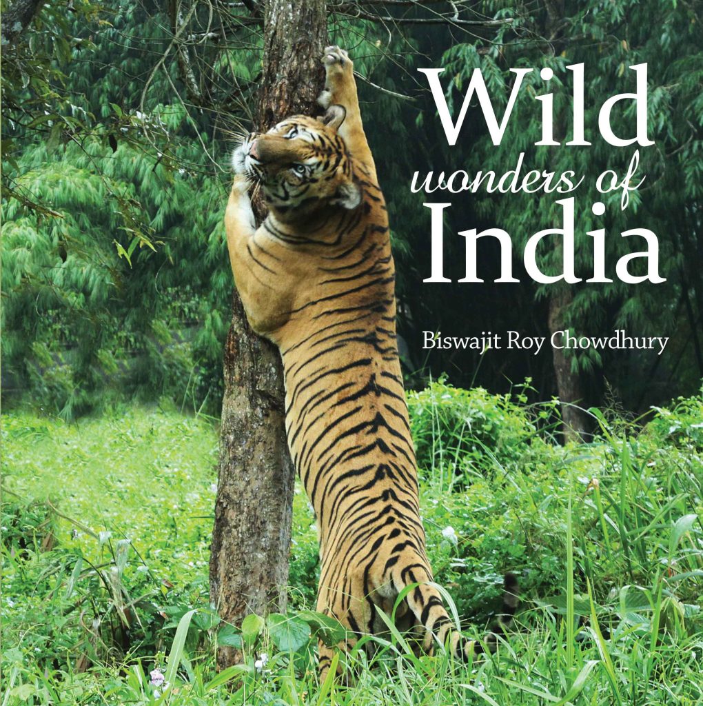 Wild Wonders of India Book