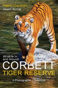 Wildlife In and Around Corbett Tiger Reserve : A Photographic Guidebook by Rajesh Chaudhary & Vinesh Kumar