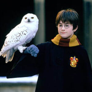 From Wizarding Owls to Secret Agents: Our Favourite Fictional Pets