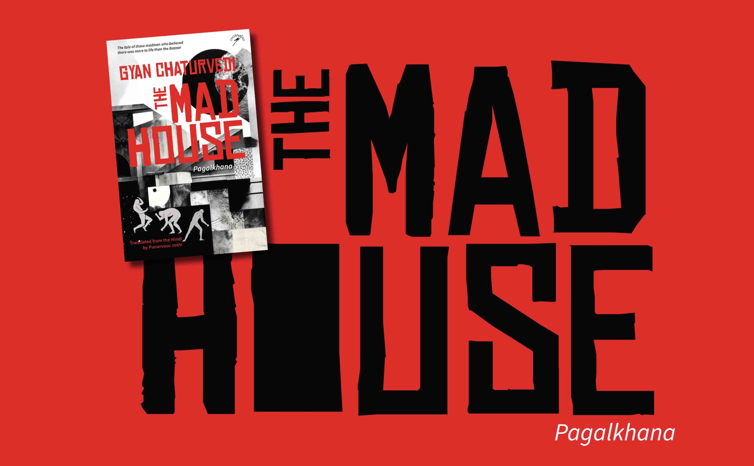 Excerpt - The Madhouse