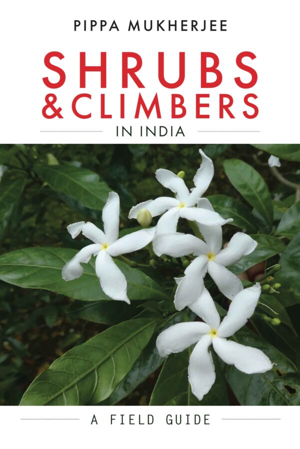 Shrubs and Climbers & India A Field Guide